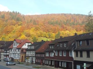 Landgasthof Kleine Kommode - Zorge - 4