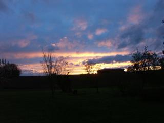 Gites Domaine de la Rochere - Domsure - 2