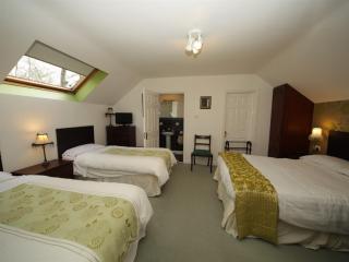 Launard House - Kilkenny - 4