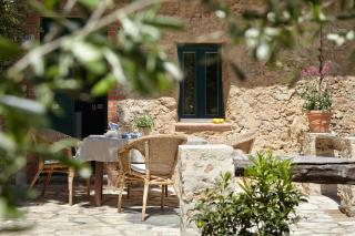 Casa Berti - Urlaub im Olivenhain - Camaiore - 7