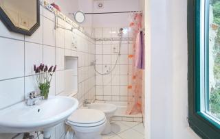 Casa Berti - Urlaub im Olivenhain - Camaiore - 5