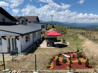 Vila Paltinis - Păltiniş - 3