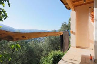 Casa Berti - Urlaub im Olivenhain - Camaiore - 4