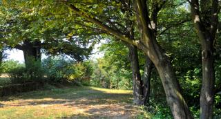 Casa sull'Albero Aromantica - San Salvatore Monferrato - 7