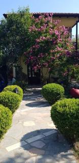 Hotel Maria - Chrysi Ammoudia - 8