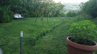 Casa Lorena - Sărata-Monteoru - 4