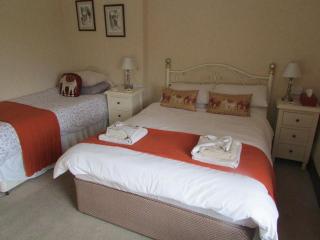 Lion Hotel - Llanbister - 8