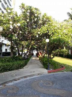 The trust condo huahin by Massy - Hua Hin - 2