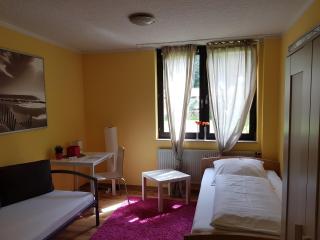 Nauwieser Apartments - Saarbrücken - 3