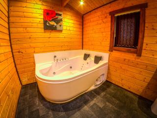 New Forest Lodges - 2