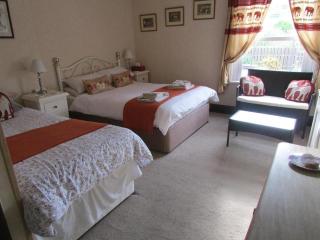 Lion Hotel - Llanbister - 2