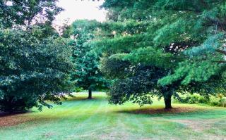 Rolling Hills Motel - Wantage - 3