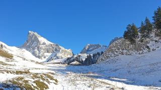 L'OURSERIE Bed & Breakfast - Saint-Paul-en-Chablais - 1