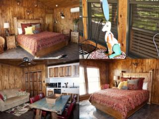 Live Oaks Bed and Breakfast - 3