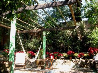 Hacienda Santa Rosalia Parador Hipico - 6