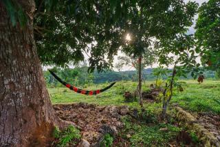 Ayu Hill Bungalows - Nusa Penida - 2