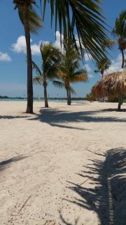 Caribean House - Boca Chica - 3
