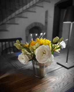 Millefiori Suite&Room - 0