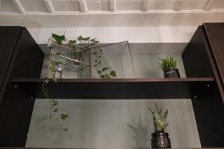 Tsarbou Guesthouse - Stemnitsa - 2