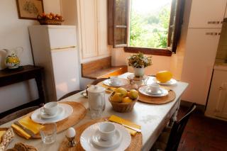 Agriturismo Marchesi Gondi - 7