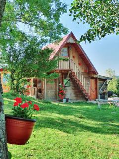 Log cabin Uvac (Vikendica Saponjic) - Nova Varoš - 2