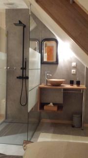 Notre Rêve - Chambre d'hôtes - Marmoutier - 9