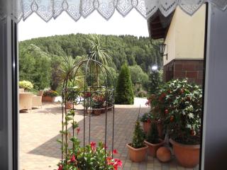 Pension Waldhof - Trautenstein - 8