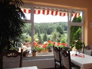 Pension Waldhof - Trautenstein - 7
