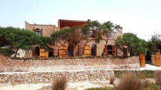Golden Baibah - Zaouia Akermoud - 6