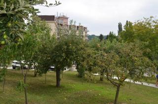 Apartmani Ana - Vrdnik - 6