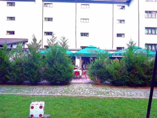 Hotel Hart - Predeal - 6