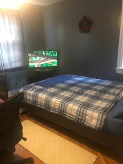 Divine olly cozy - 1