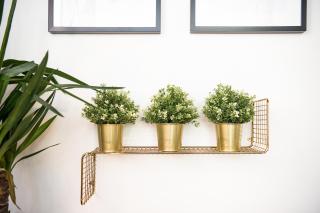 Vite Luxury Apartment - Roma - 2