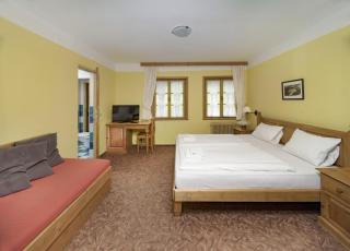 Alpský Hotel - Špindlerův Mlýn - 6