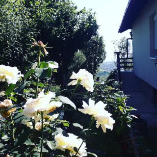 Apartment Noletov vidikovac - Vrdnik - 1