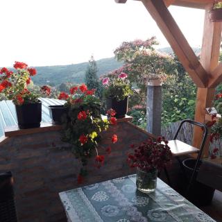 Apartment Noletov vidikovac - Vrdnik - 3