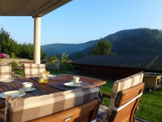 Ferienwohnung Schwarzwaldsteig - Bad Peterstal-Griesbach - 1