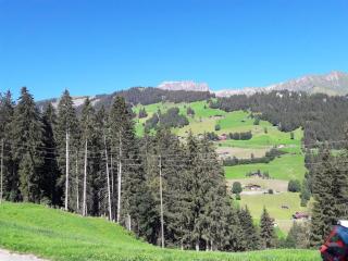 Ferien in der Bergwelt von Adelboden - Adelboden - 8