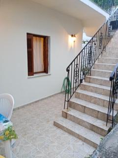 Dolphins DreamHouse - 9