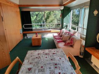 Vetrate sul bosco - Marilleva - 0