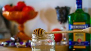 Willa Jaskółka - 2