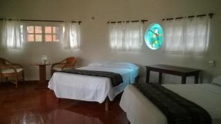 Eco-Hotel Nueva Altia - Santa Elena - 5