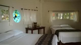 Eco-Hotel Nueva Altia - Santa Elena - 4