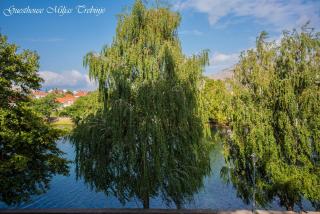 Smještaj Miljas Trebinje - Trebinje - 0
