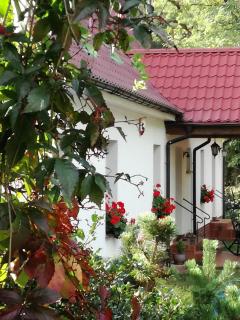 Agroturystyka Rębowo - 9