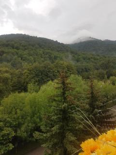 Bel Apart - Dilijan - 9