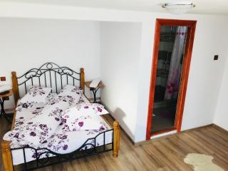 Casa de vacanță Moțata - Novaci-Străini - 6