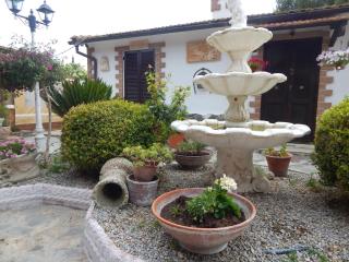 Bungalous Nella Campagna Di Roma Minimun 4 Persons - Marina di Cerveteri - 6