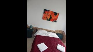 House in the countryside of Rome - Cerveteri - 9