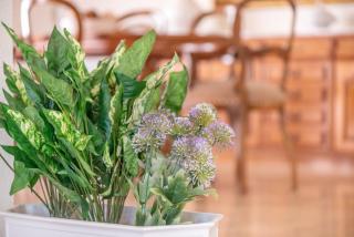 Villa Costa De Blanes - 4